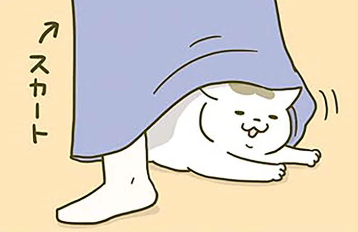 飼い主に対する態度が雑すぎでは？あからさまに不満そうな顔をする猫／うちの猫がまた変なことしてる。2（6）