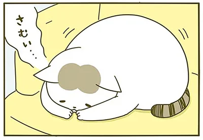 さむい…