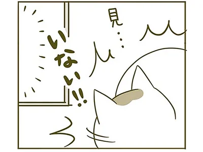 いない！！