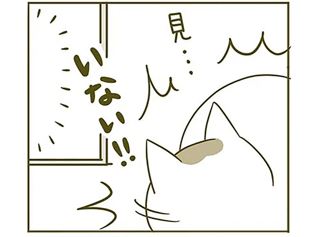 食事の様子を見ていてほしい猫、飼い主がこっそりいなくなったことに気づいたら／うちの猫がまた変なことしてる。2（8）
