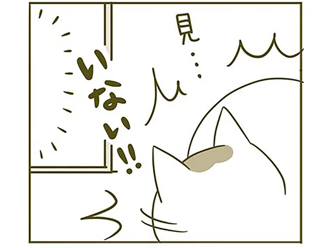 いない!!