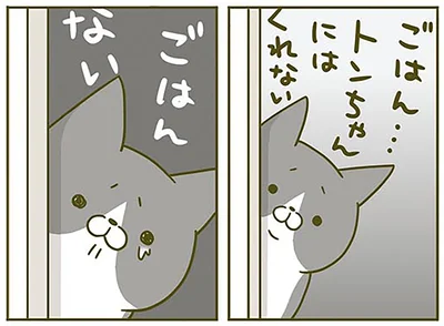 ごはんない…