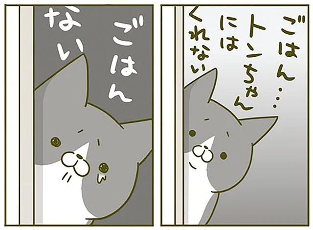 自分だけごはんがもらえなくて悲しそうな猫。でも君はさっき…／うちの猫がまた変なことしてる。2（9）