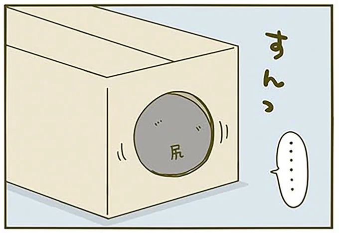 運命のダンボール