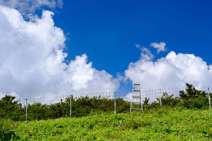 水や氷の粒からできている「雲」が、空に浮かんでいられるのはなぜ?