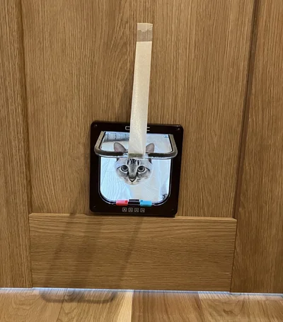 顔をのぞかせています▶ドアを使ってくれるかな…？（⇒次へ）