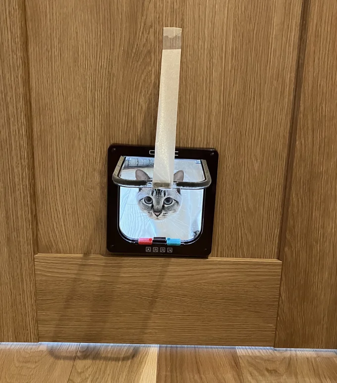 顔をのぞかせています▶ドアを使ってくれるかな…?(⇒次へ)