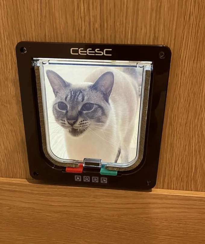 軽く押せば開くはずですが…▶飼い主さんがドアに工夫をしました!(⇒次へ)