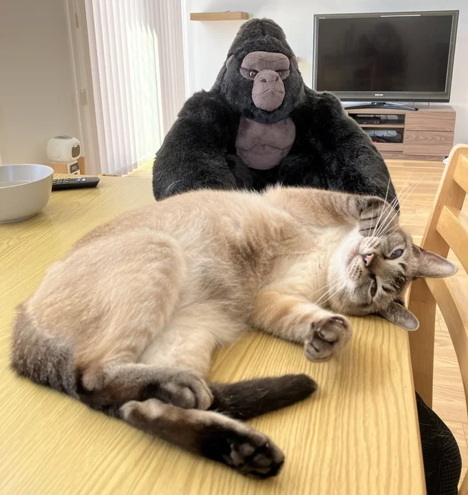 カメラを向けるとポーズをとってくれるロロちゃん▶「おはよ」って言ったら…(⇒次へ)