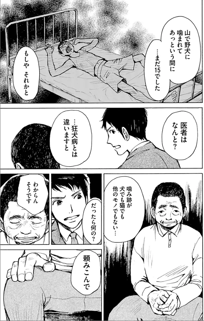 噛み跡が犬でも猫でも他のモノでもない…