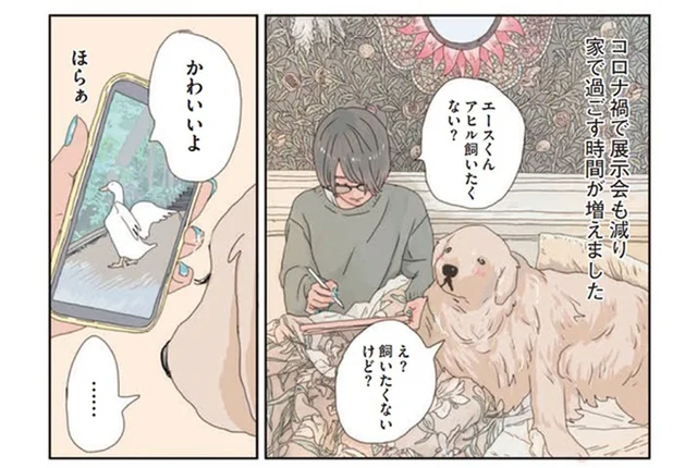 可愛いアヒルをお迎え。ゴールデンレトリーバーとの二人暮らしに変化が!?