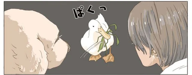 犬とアヒルの穏やかな散歩時間のはずが… 飼い主が目を覆う展開に／エースくんとヨバンさん（4）