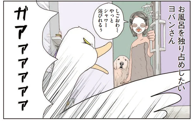 アヒルを飼う若手作家。自宅のお風呂に入れなくなってしまったワケ