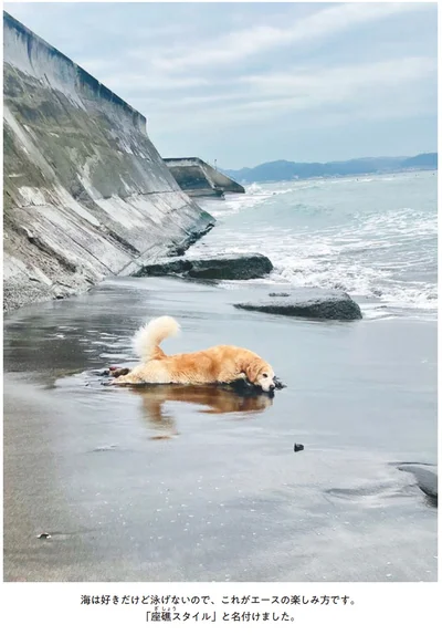 海は好きだけど泳げないので、これがエースの楽しみ方です