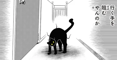 やんのか