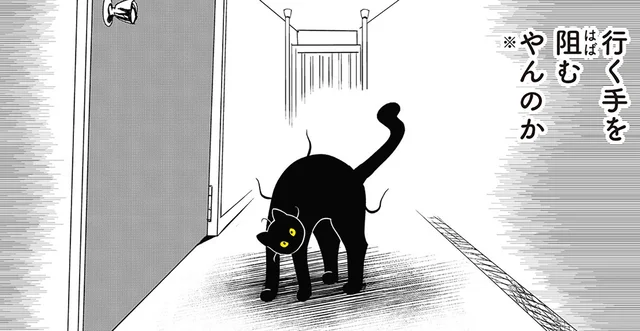 背中を丸めて威嚇！ 「やんのか」ポーズで待ち伏せる猫がおそろしい