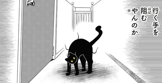 やんのか