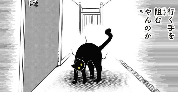 背中を丸めて威嚇！ 「やんのか」ポーズで待ち伏せる猫がおそろしい