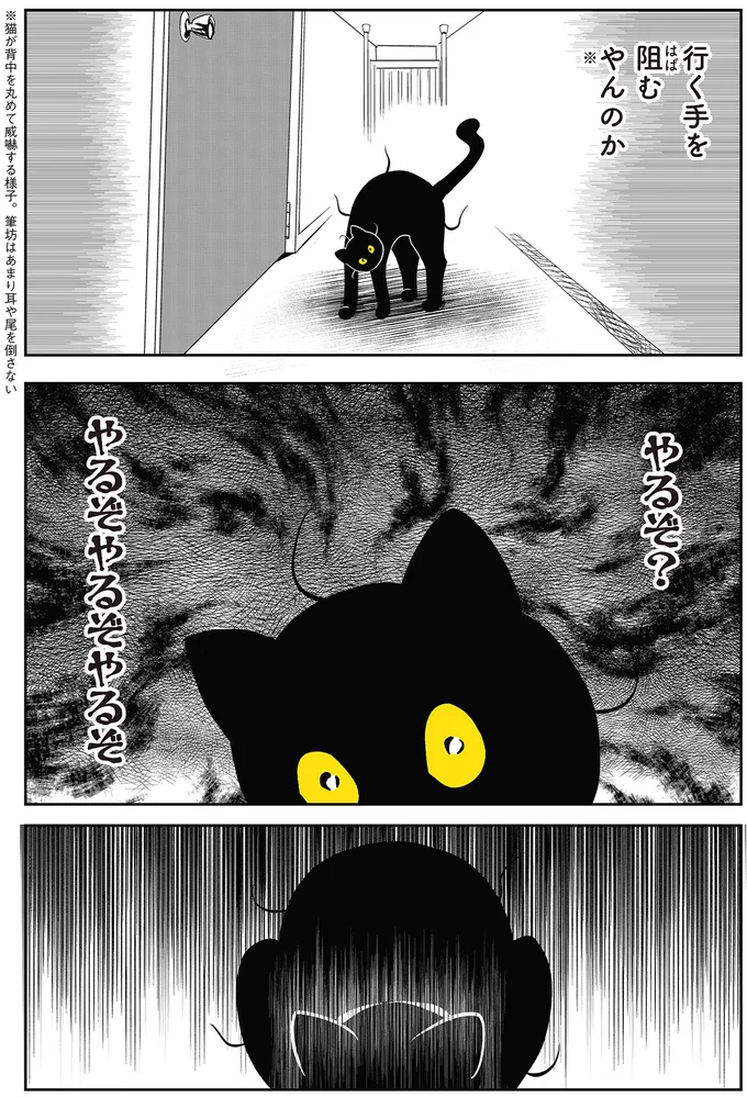 やるぞ？