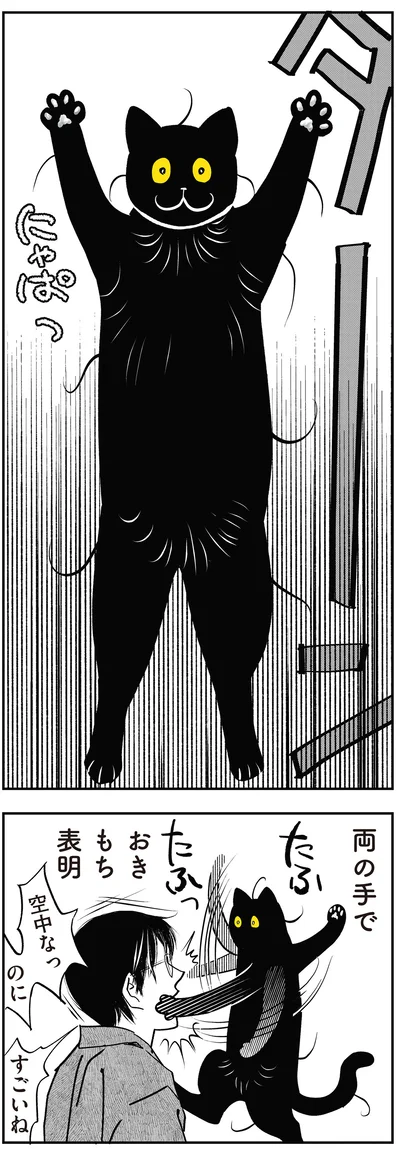 おきもち表明