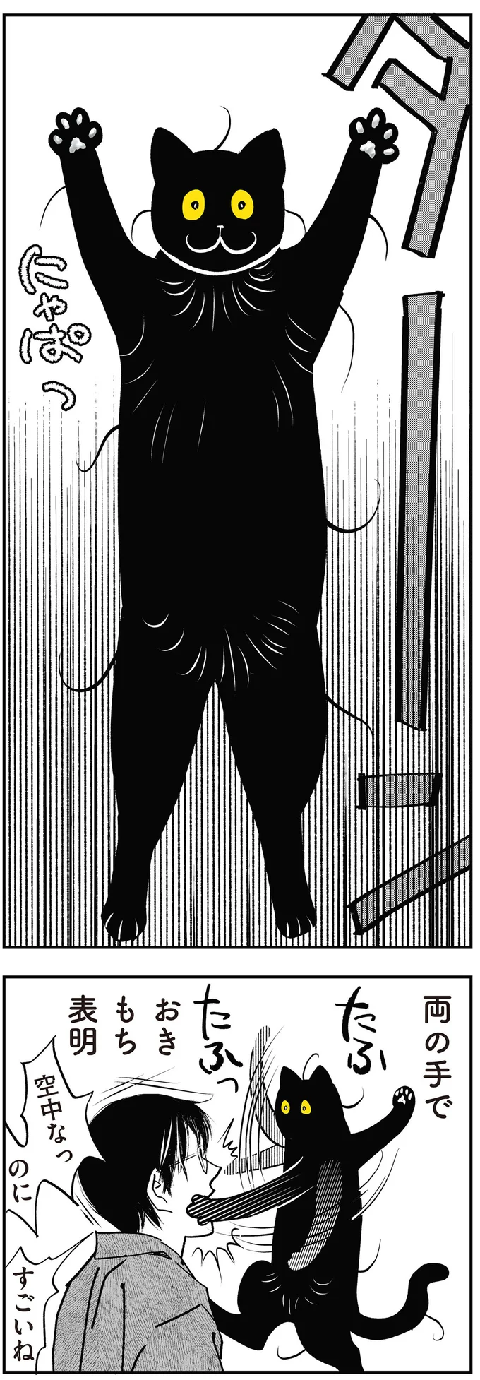 おきもち表明