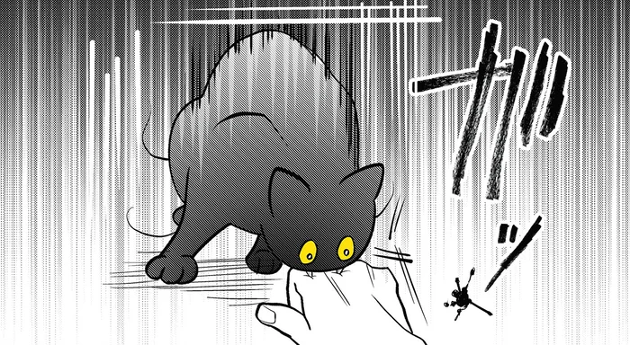 ガブっと噛んで猛ダッシュ！ 逃げ足が早い猫に翻弄される飼い主／筆坊日記（3）