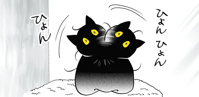 民芸品か何か？ 首をカックンカックンさせる猫に不安を抱く飼い主