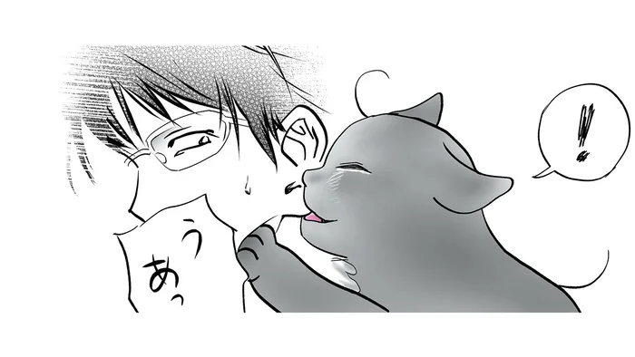 飼い主を吸う動きが突然止まった猫。感触が母猫に似ていたのかな？／筆坊日記（7）