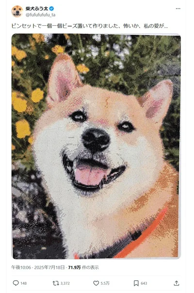 飼い主の愛によって半年の月日をかけ作成されたダイヤモンドアート！▶このアートのサイズは……（⇒次へ）
