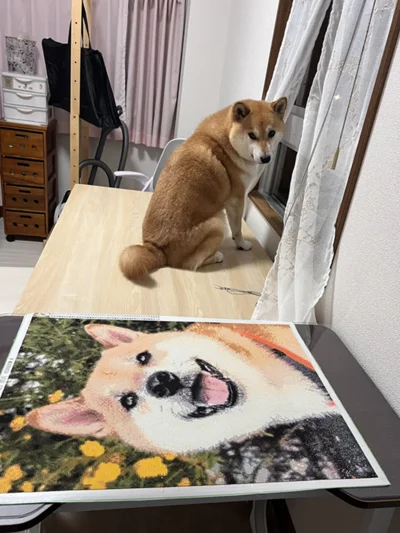 我関せずな様子。でも少しだけ気にしているようにも見えます（笑）▶元気いっぱいなふう太くんは（⇒次へ）