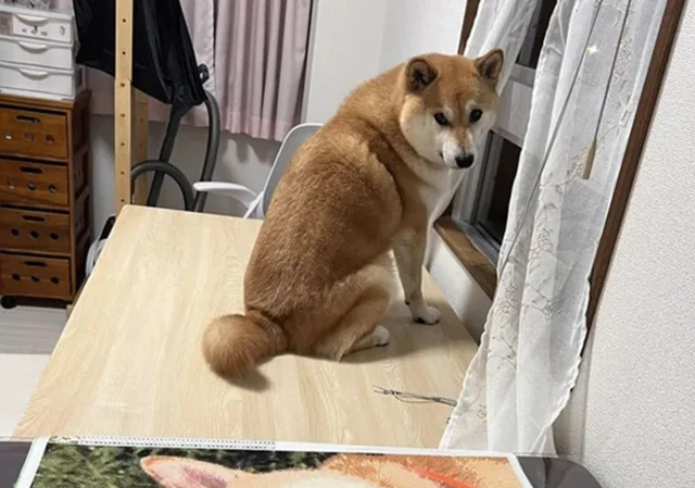 「怖いか、私の愛が…」　飼い主さんがビーズで作った途方もないアートが5.5万いいね