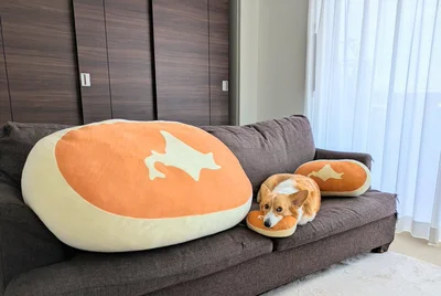 クッションに擬態中…▶クッションに乗ったまま（⇒次へ）