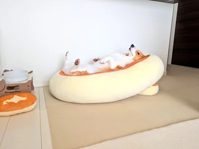ご飯待ちのこまちちゃん▶このシルエット…（⇒次へ）