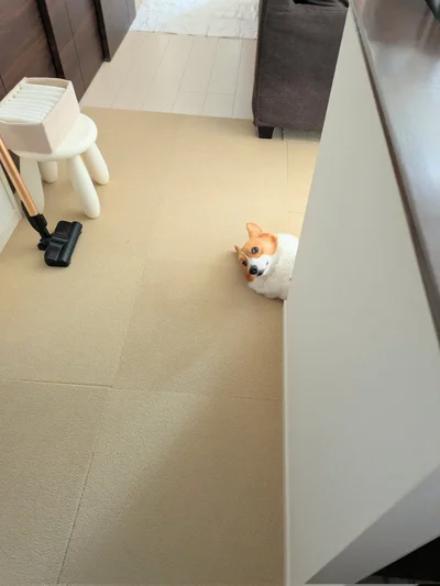 かわいいお出迎え▶（次画像から漫画家のヨシモフ郎さんが愛犬との賑やかだけど優しい暮らしを描く『ドベとノラ 3 犬と仲間が集う場所』が読めます）