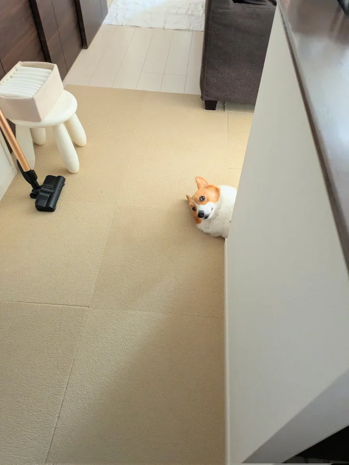 かわいいお出迎え▶（次画像から漫画家のヨシモフ郎さんが愛犬との賑やかだけど優しい暮らしを描く『ドベとノラ 3 犬と仲間が集う場所』が読めます）