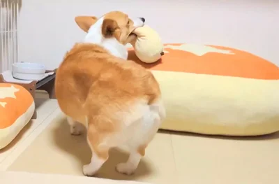 お気に入りの枕を持ってクッションへ▶落とさないように（⇒次へ）