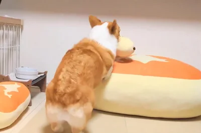 しっかり持ったまま…▶ふかふかへダイブ（⇒次へ）