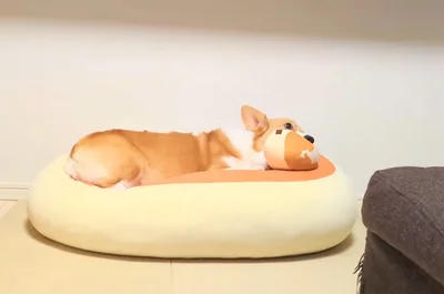 がっつりくつろぐこまちちゃん▶どこにいるかわかるかな？（⇒次へ）