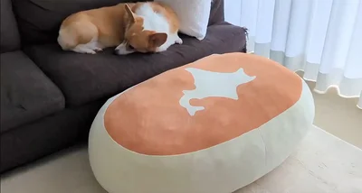 ソファで寝ているこまちちゃん▶こちらに気づき…（⇒次へ）