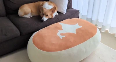 撮られていた事に気付いたこまちちゃん▶おもむろに…（⇒次へ）