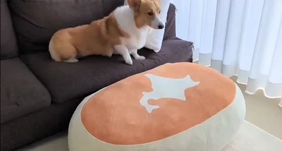 起き上がると…▶わかってる…？（⇒次へ）