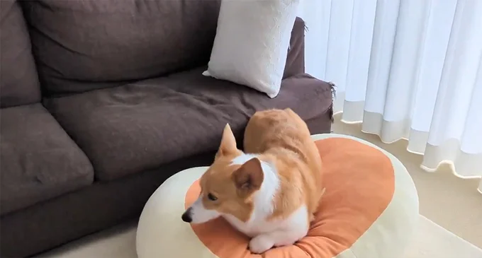 ポジションをさだめて▶完璧(⇒次へ)