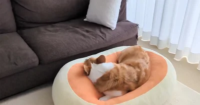 ここがやっぱり落ち着くんです▶開けさせませんよ…（⇒次へ）