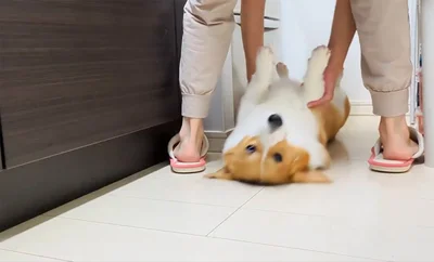 少しズラして▶スライド（⇒次へ）