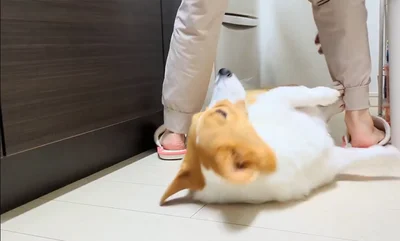 開け終わりました？なこまちちゃん▶またもホールド（⇒次へ）
