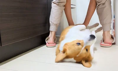 今度は何を…！▶あぁーっ！（⇒次へ）