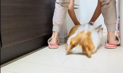 下へ勢いよくスライド▶うわぁーっ！（⇒次へ）