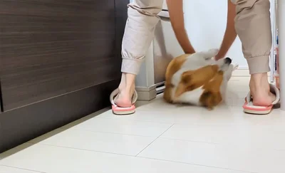 さらにスライド▶そして定位置へ（⇒次へ）