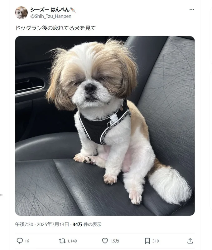1.5万いいね!のポスト「疲れてる犬」▶疲労感たっぷり!(⇒次へ)