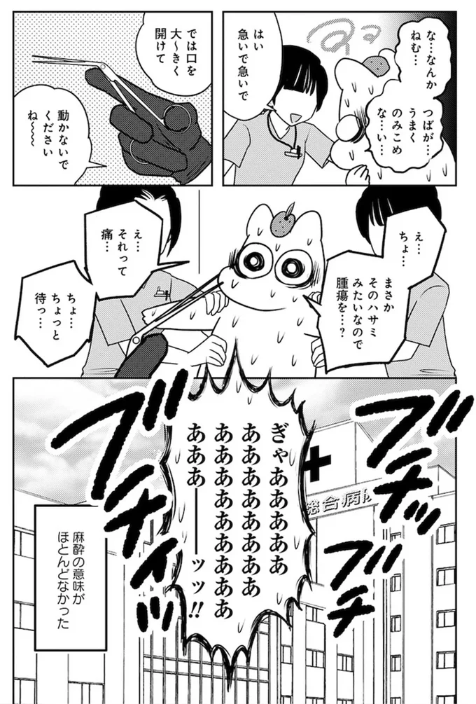 麻酔の意味がほとんどなかった